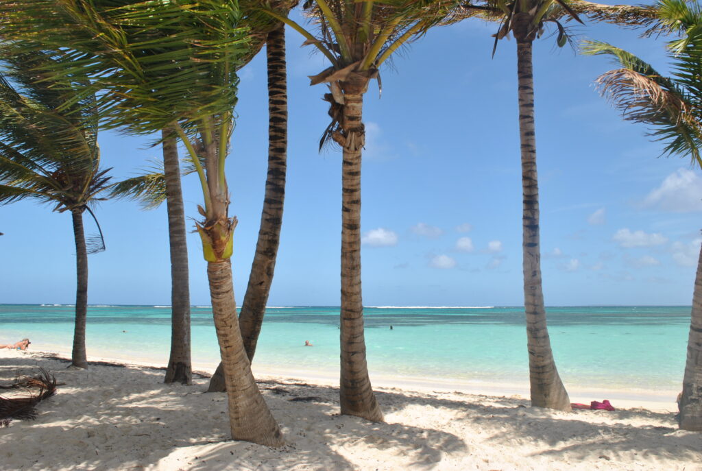 Plage de sable blanc